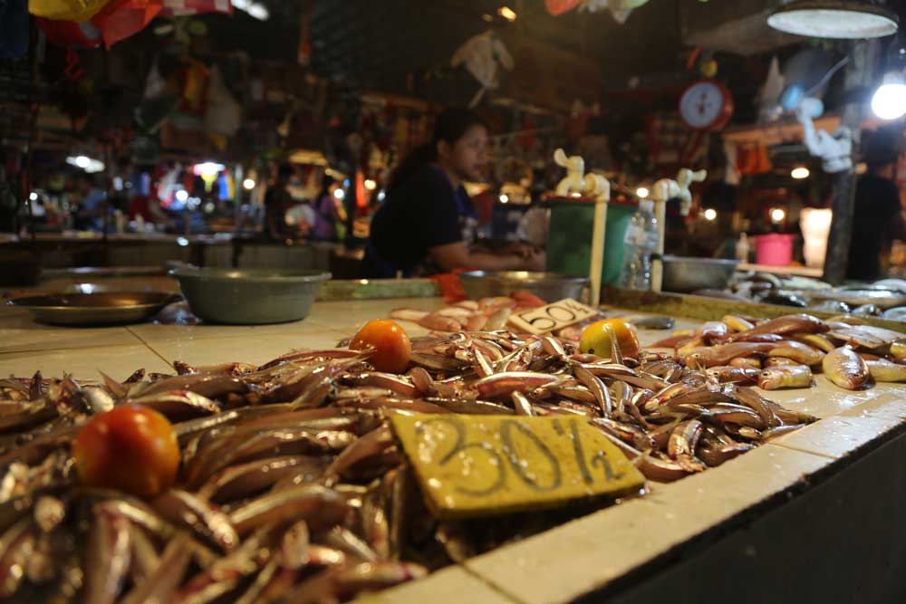 A fish market in the regional capital Mariveles, home to many of the local fishing fleets which ply the South China Sea. Photo: RFA