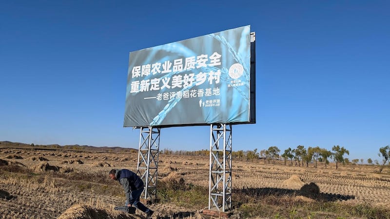 五常大米是东北的金字招牌，今年拥政村正式启动“小农种碳”专案，试图找出农业永续之路。