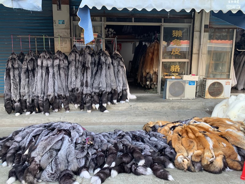 中国每年有上千万只皮草动物被宰杀、取皮,官方近年推行屠体饲料化,“变废为宝”背后暗藏健康风险。